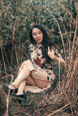 DreamsofPassionandPleasure完整版本